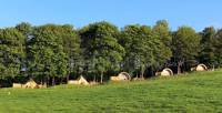 The Hare - Luxury Bell Tent