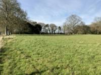 Grass Pitch