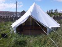 Dandelion Bell Tent