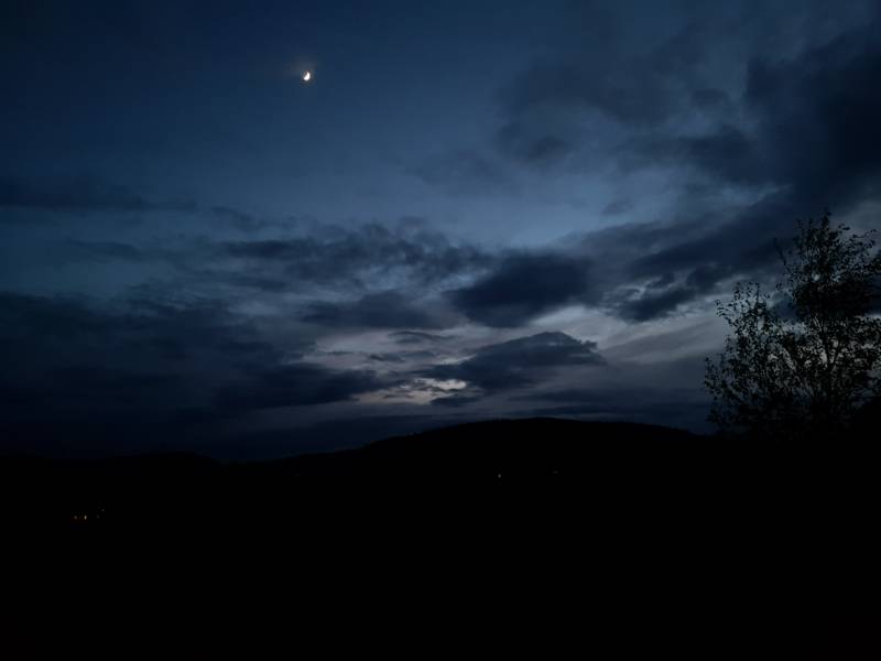 Tilia Bell Tent   (Dog Friendly)