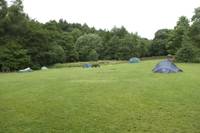 Small Campervan Spot - Ring ouzel field