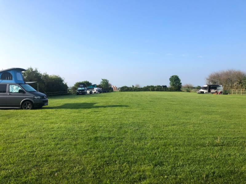 Grass Pitch