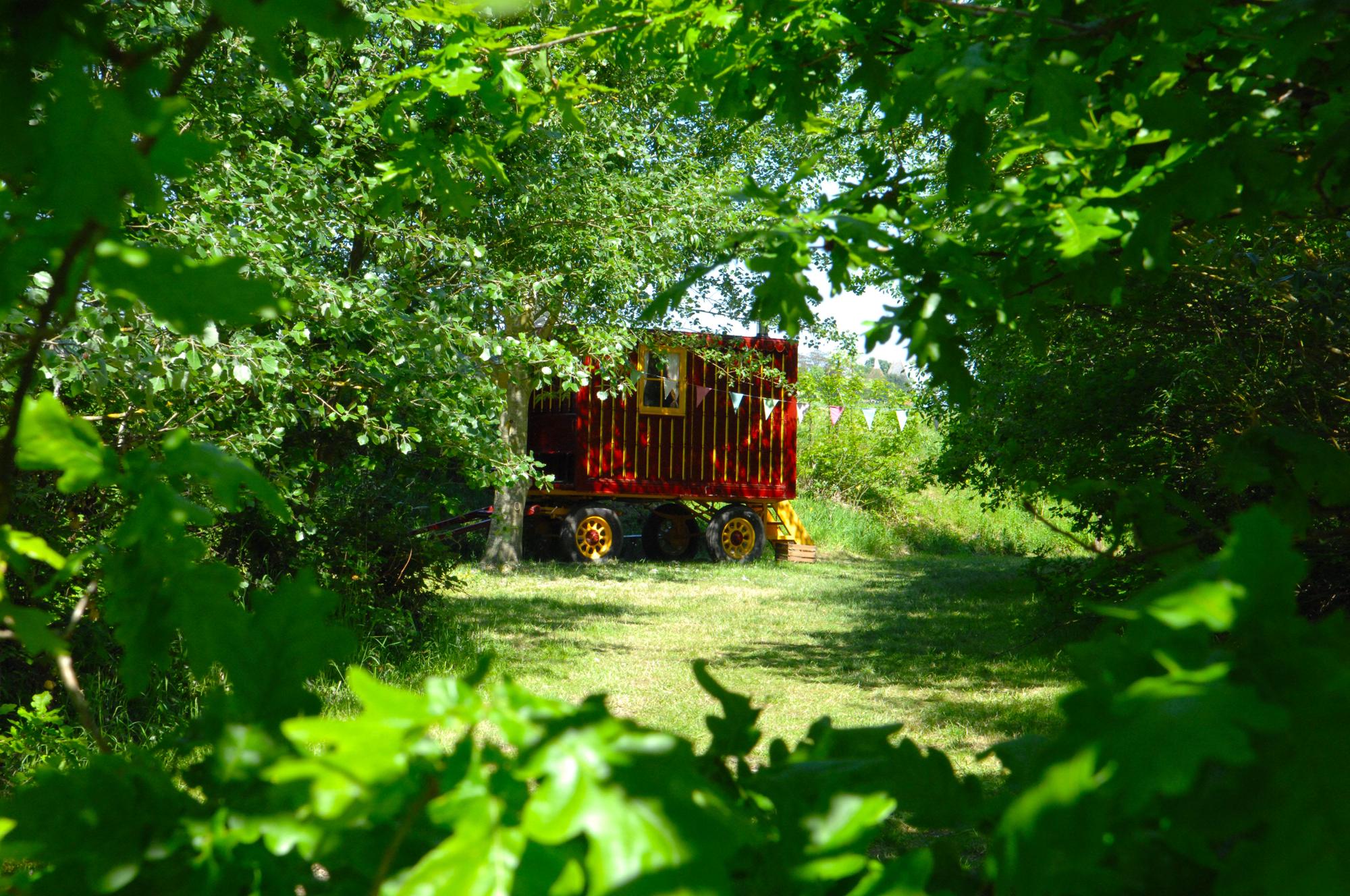 Campsites in Herne Bay holidays at Cool Camping