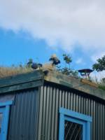 The Drovers Hut and hot tub