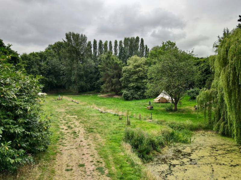 Willow View - Nearly-wild, woodland pitch