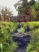 Owls Hollow