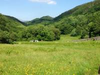 Family Field Grass Tent Pitch