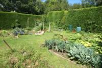 Cosy and secluded Cabin in one of the Sussex High Weald's loveliest rural retreats.