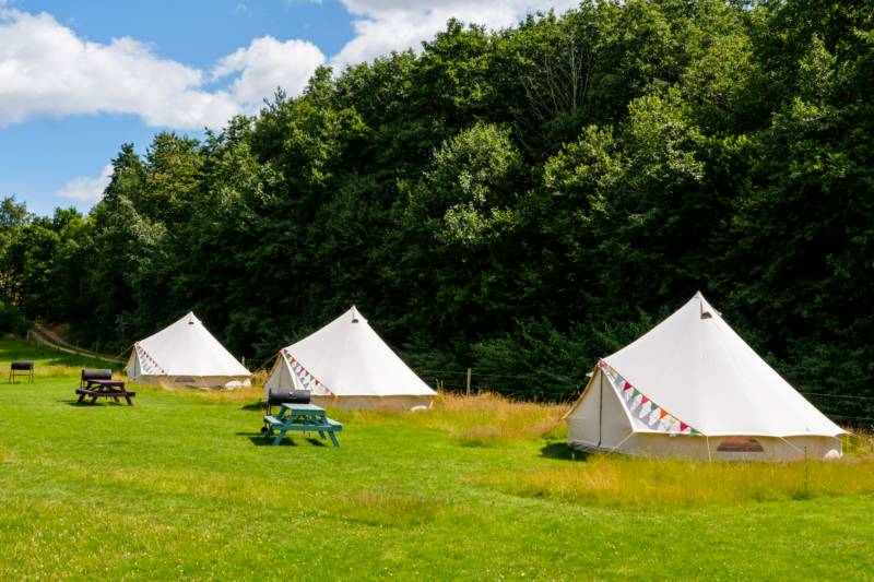 Bell Tent 3 field pitched MAPLE with porch