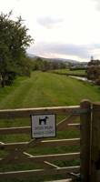 Non-electric grass pitch (unallocated)