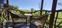 THE PHEASANTS LODGE (shepherds hut)
