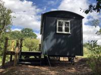 The Teal Hut