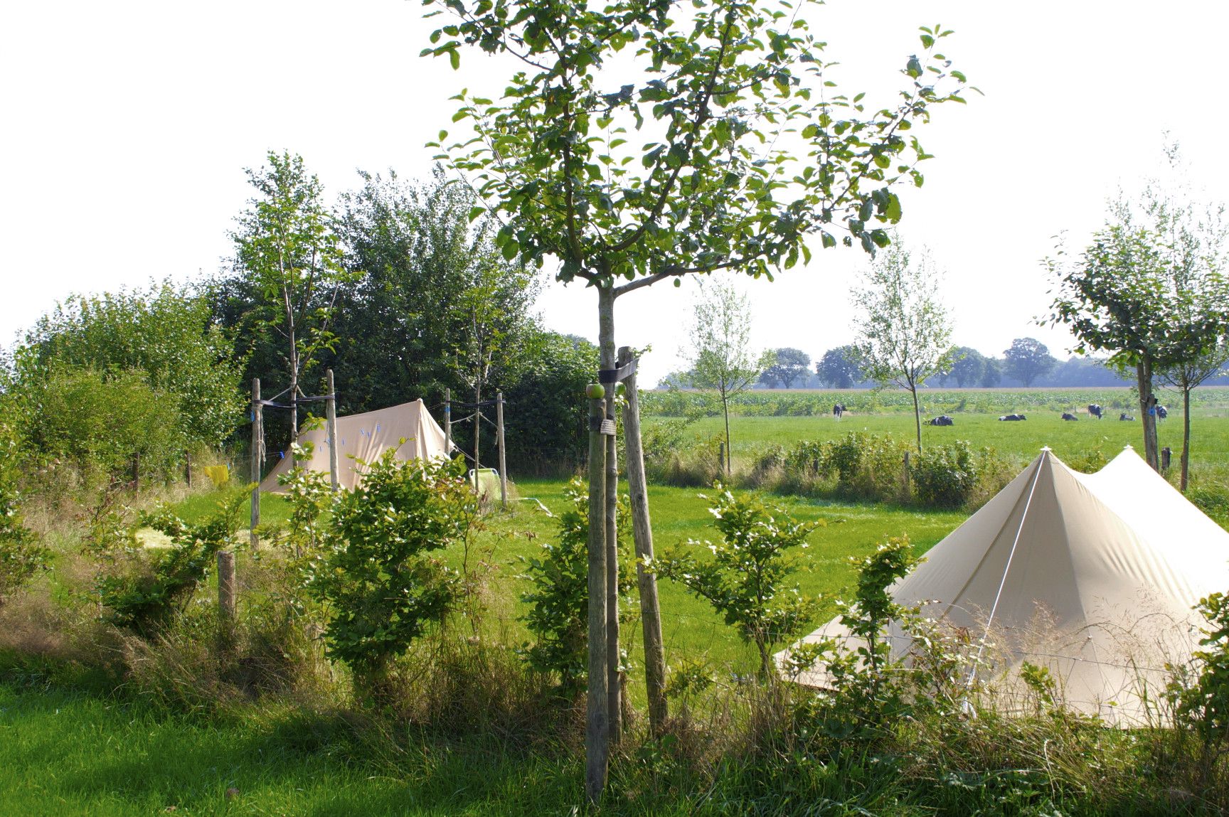 Campsites in Drenthe – Cool Camping