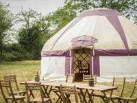 Pilton Yurt Camps- Gordon's Field West