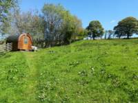 Cae Bell Secluded Tent Pitch
