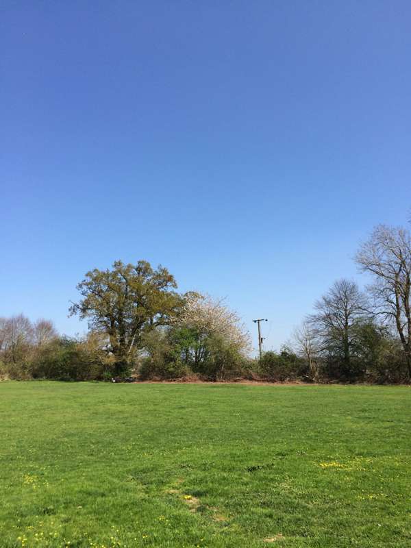 Grass Pitch for a Campervan/Tent