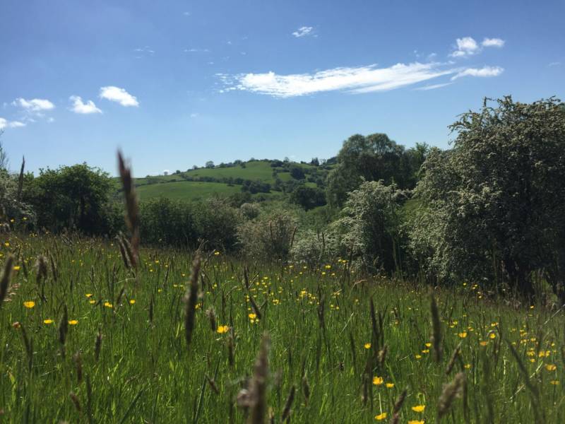 Yr Wyddfa Event Dome