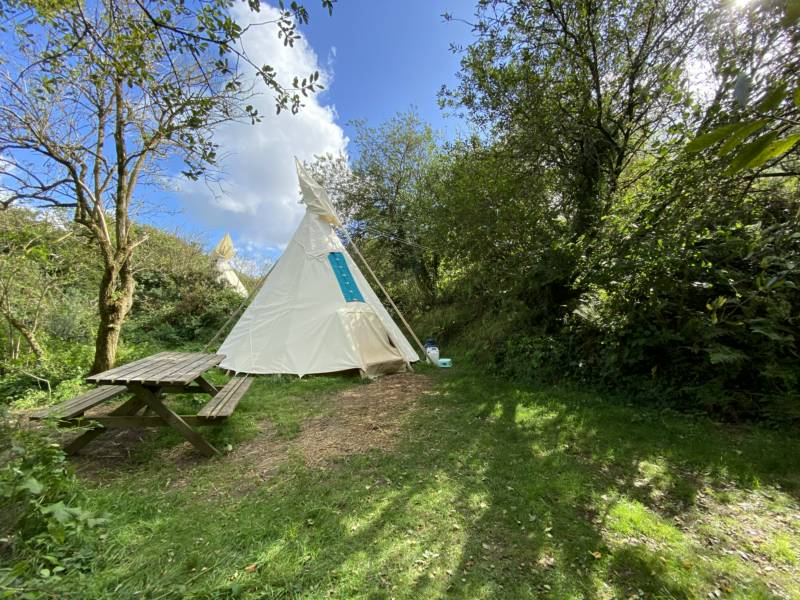 Jackies Medium - Medium Tipi - Private Site