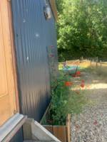 Shepherd Hut Meadow