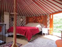 Owl Yurt