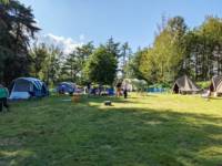Woodland Meadow Large Pitch