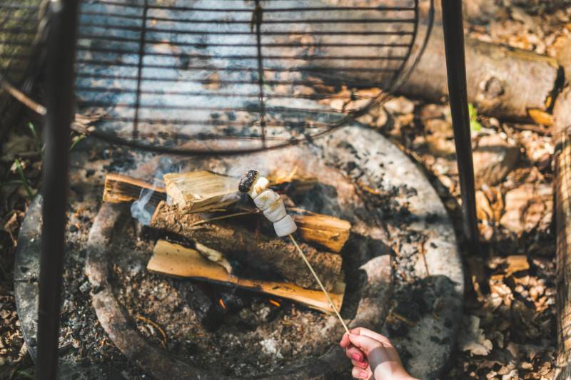 Cuddfan Bach - The Little Hideaway