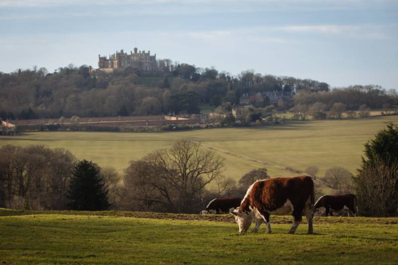 Pitch 28: Grass pitch