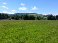 Grass Pitch