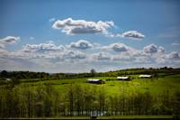 Boutique safari lodge, above a gorgeous Stirlingshire nature reserve