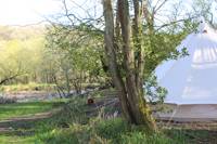 Primrose Woodland Pitch