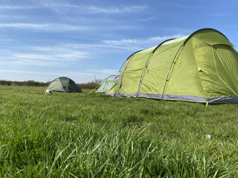 Allocated Grass tent pitch