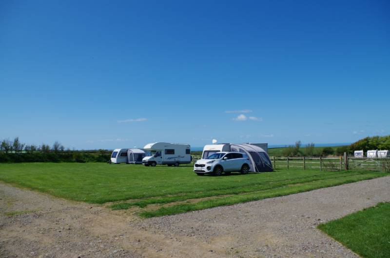 Large Grass Electric