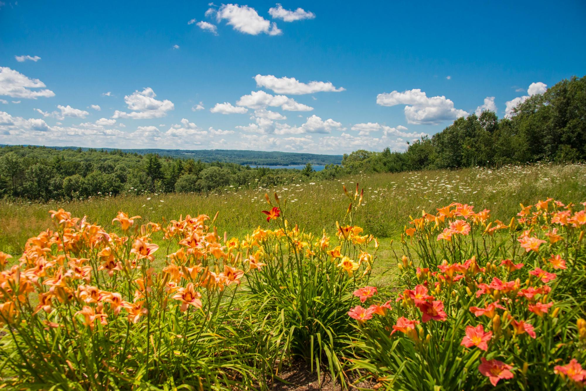 Worcester Camping | The Best Campsites in Worcester