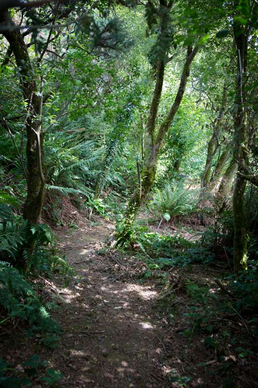 Sky 8 - Wild Camping Private Pitches