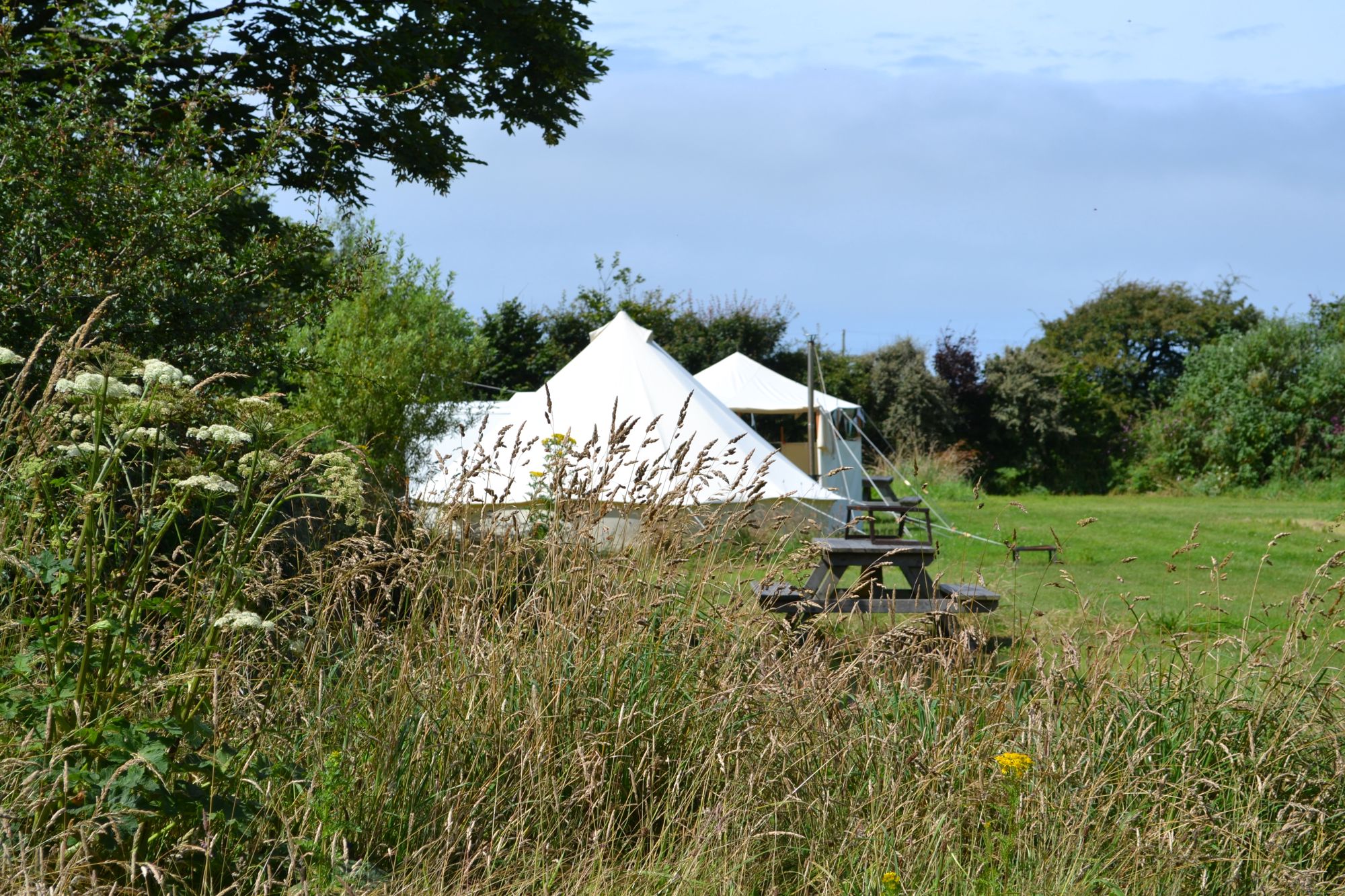 Campsites in St Davids – Glampingly