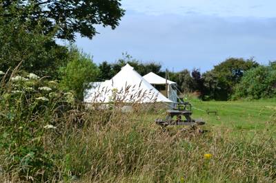 There&#39;s a beach in almost every direction you turn at this small-scale family campsite in the picturesque Pembrokeshire Coast National Park.
