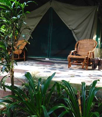 A glamping adventure in Thailand - heading for the hills