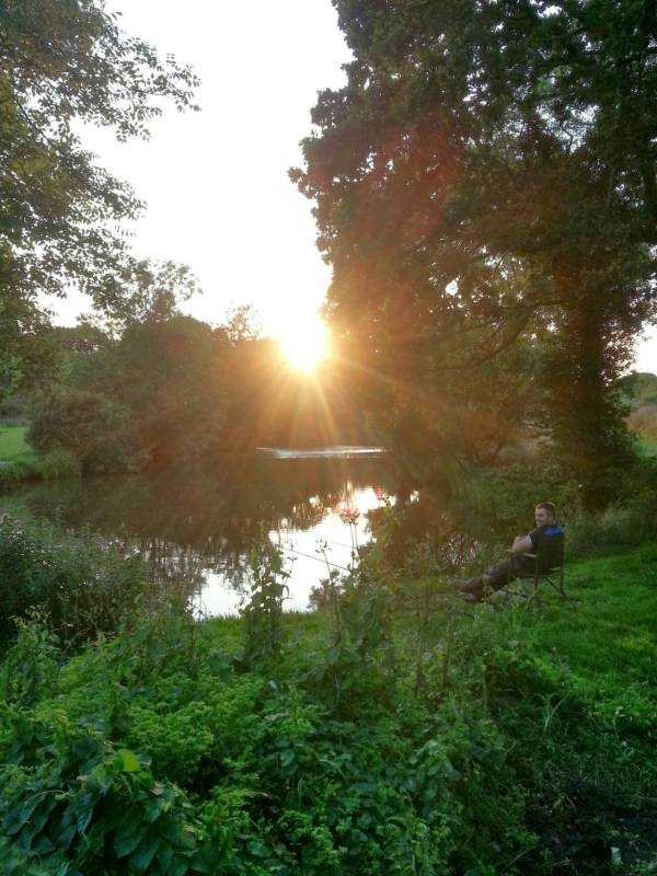 'The Drey'   Geo Dome