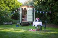 Elderflower Hut