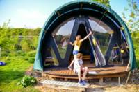 The Gridshell