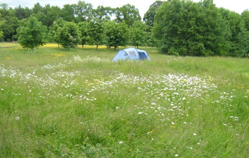 Cotswolds Camping at Warwickshire