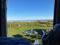 Buzzard Grass Pitch (electric)