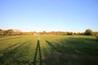 Grass electric pitch C2