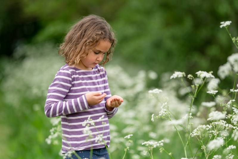 Lakeside Nuthatch Cabin