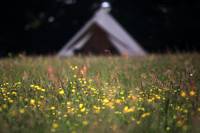 Bell Tent