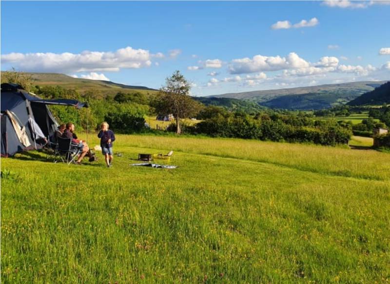 Tent Pitch - Upper Meadow
