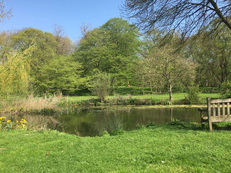 Grass Pitch for a Campervan/Tent