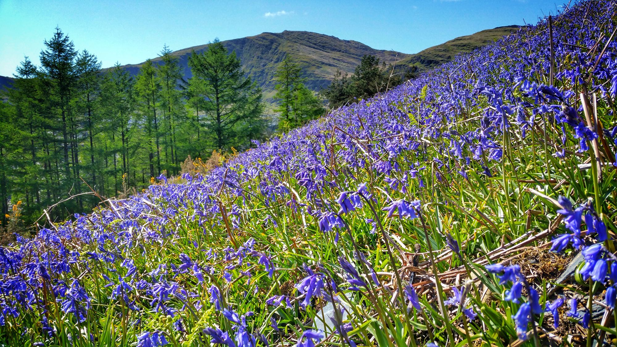 Hotels Cottages B Bs Glamping In Wales Cool Places To Stay