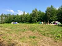 Woodland Meadow Pitch