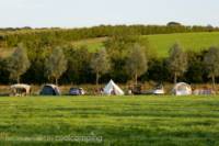 Tent Pitch